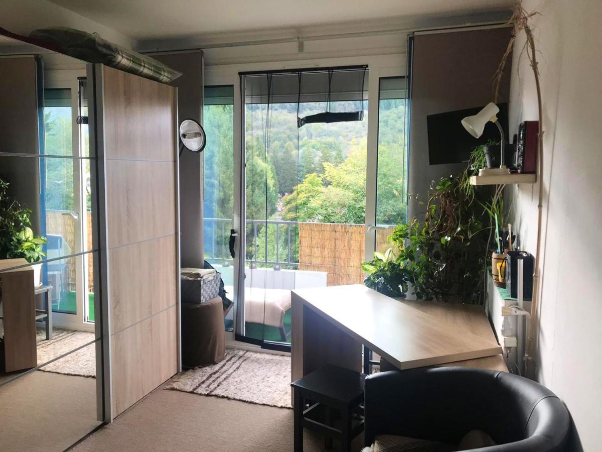 Appartement D'Une Chambre A Lourdes Avec Magnifique Vue Sur La Montagne Et Terrasse Amenagee Exterior photo