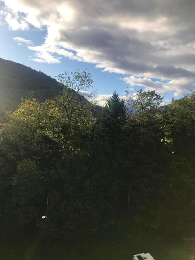 Appartement D'Une Chambre A Lourdes Avec Magnifique Vue Sur La Montagne Et Terrasse Amenagee Exterior photo